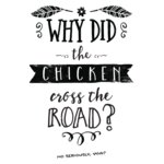 Chook Question