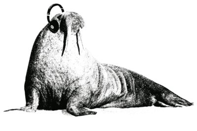 Wordless Walrus