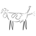 Moo